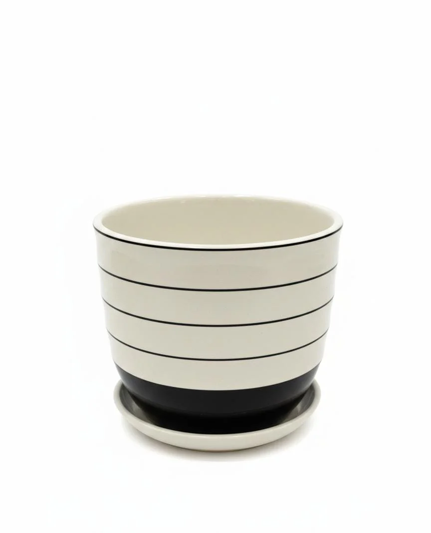 AKDC Modern White Ceramic Pot with Minimal Black Line Detailing – 15×17 cm