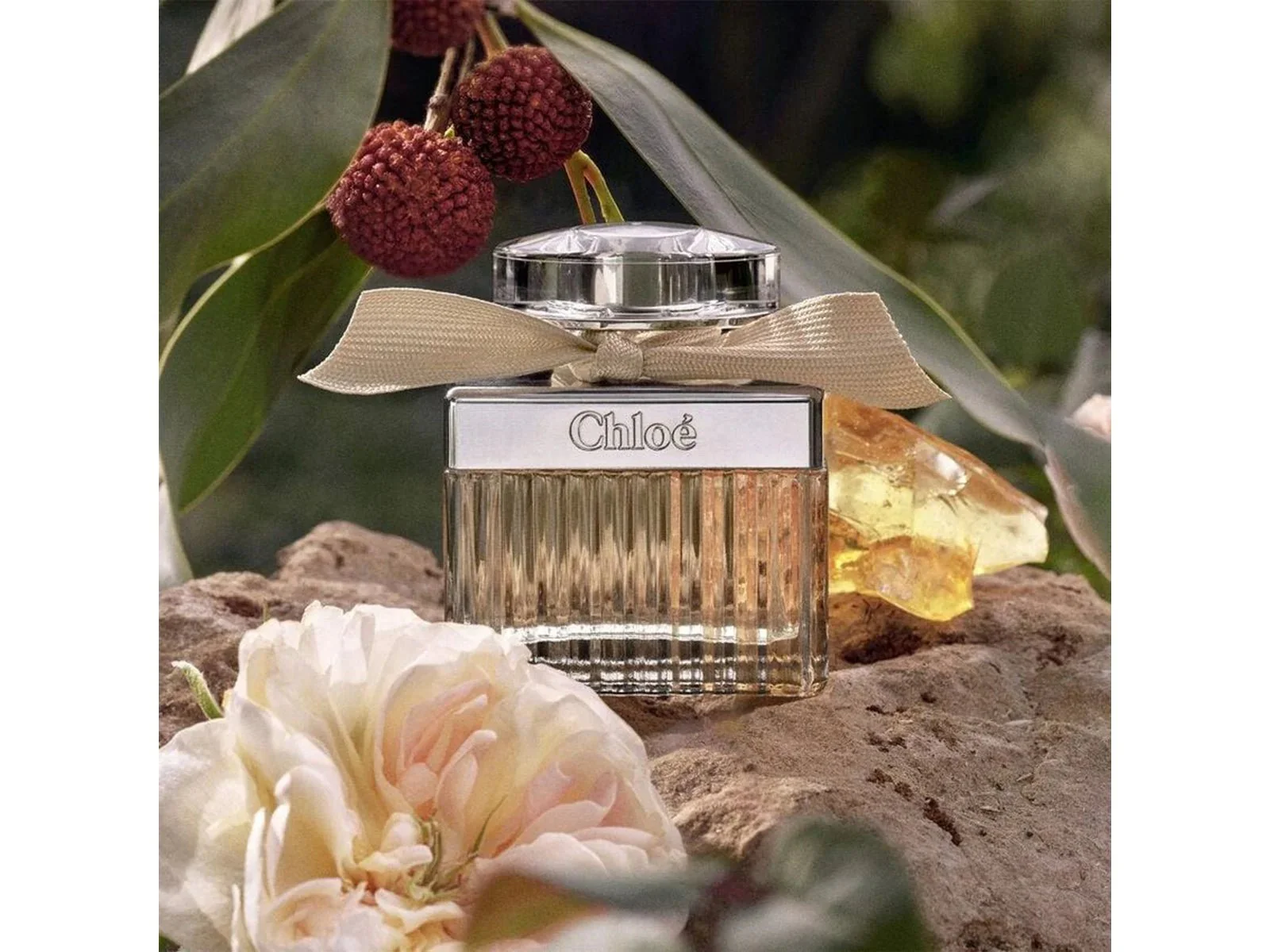Chloe Eau De Perfume for Women- 75ml - Image 4