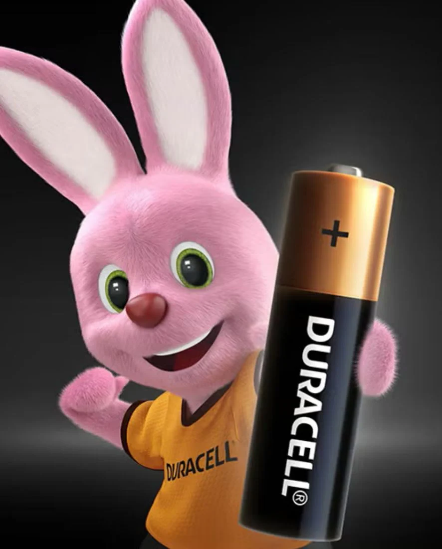 DURACELL AAA Alkaline Batteries 1.5V, Pack of 4Â - Image 2