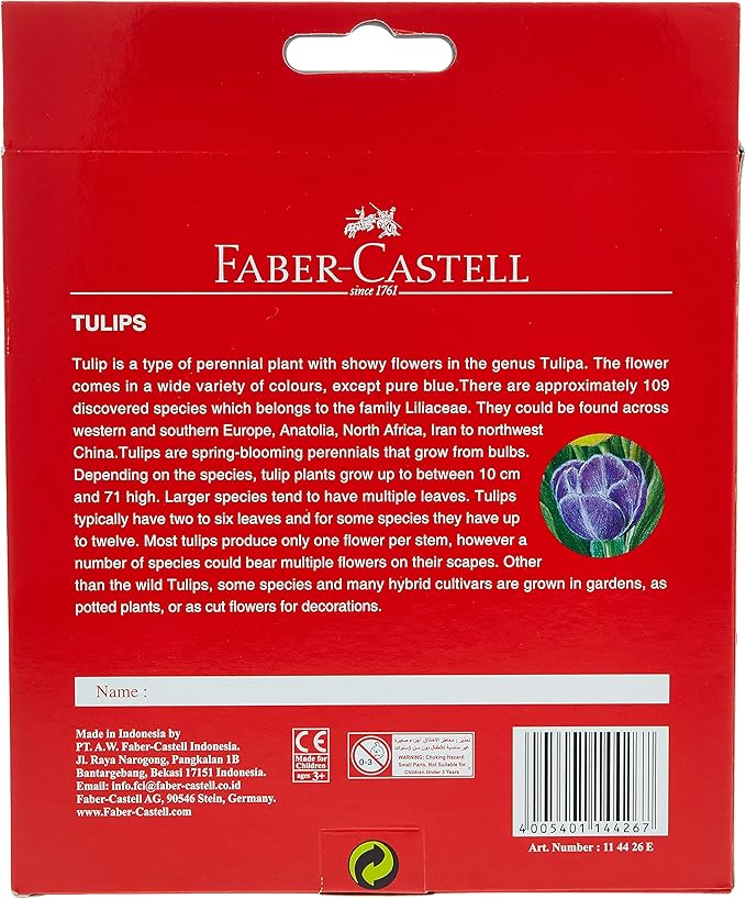 Faber-Castell Colours Of Nature Colour Pencils 24 Colour In A Cardboard Box,Assorted Designs, 114426 - Image 3
