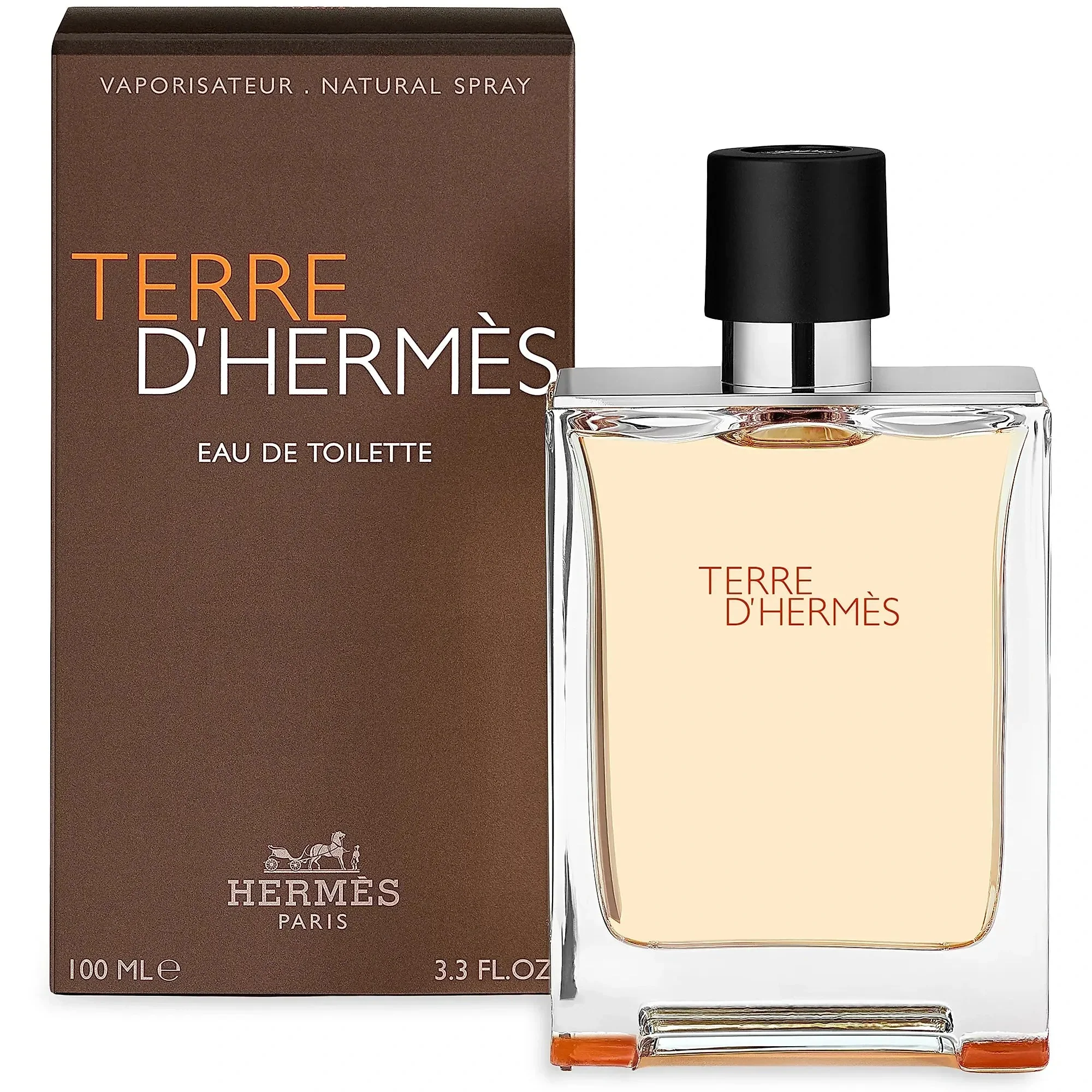 Hermes Terre D'Hermes EDT for Men- 100ml
