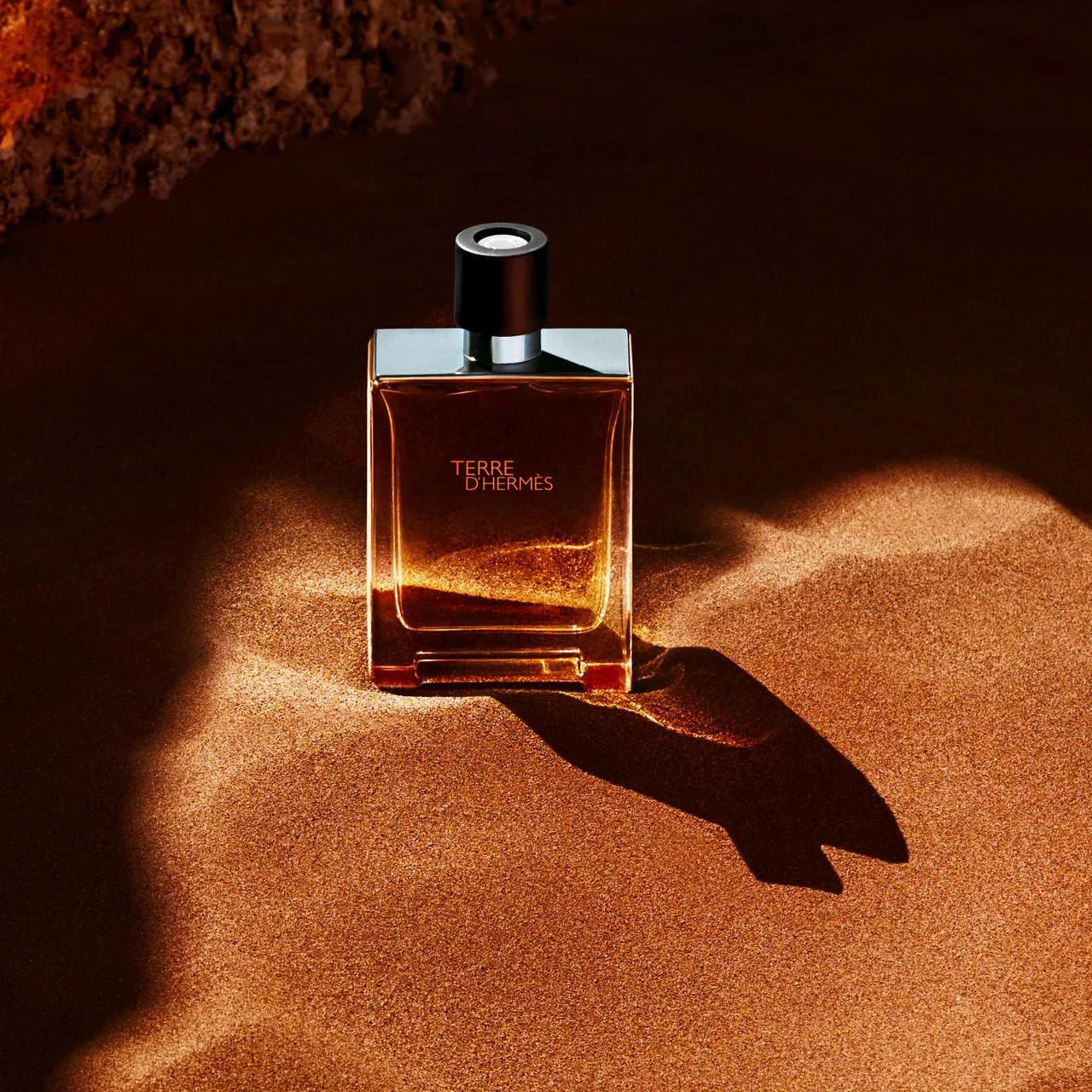 Hermes Terre D'Hermes EDT for Men- 200ml - Image 3