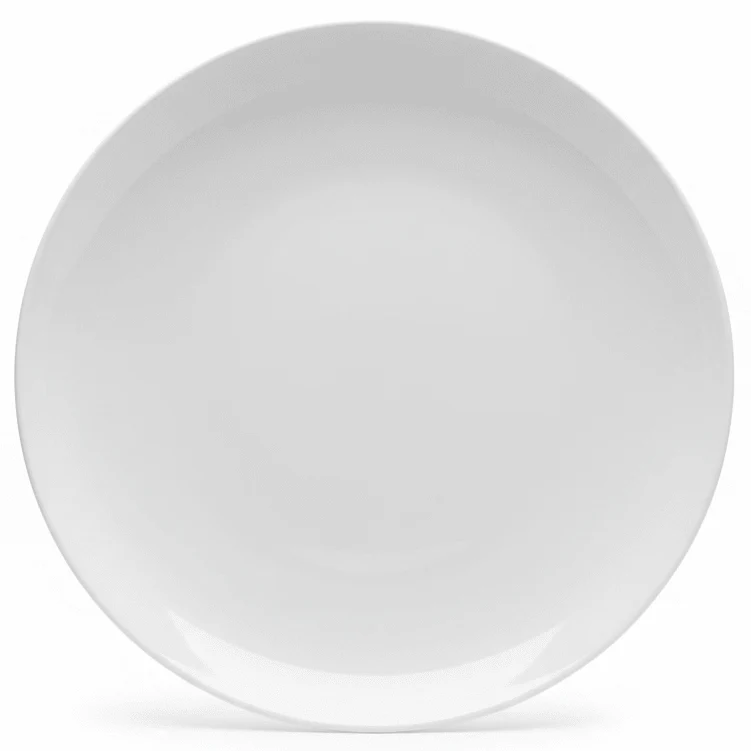 Luhpar White Round Ceramic Plate for Lunch and Dinner Use 9 inch