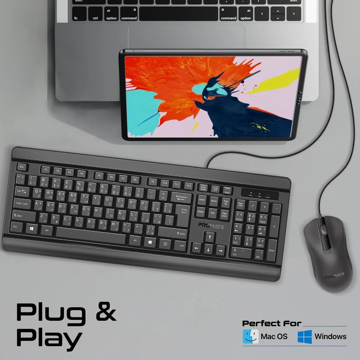 Promate Wired Keyboard and Mouse Combo, Ergonomic Slim Full-Size Quiet Keyboard, 2400 DPI Ambidextrous Mouse, Spill-Resistance, Media Keys, Plug and Play for iMac, MacBook Pro, English/Arabic Layout - Image 2