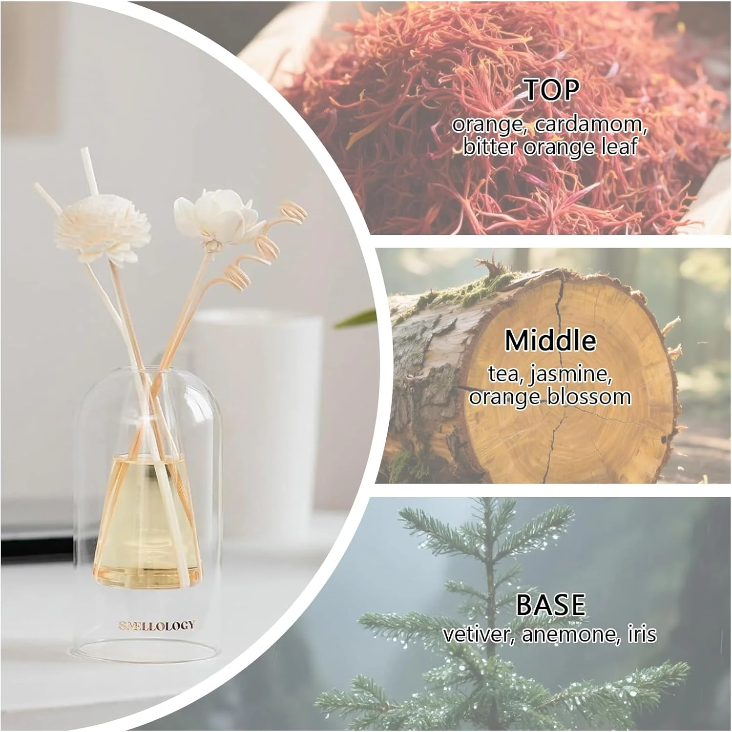 SMELLOLOGY Tranquil Flower Flowers Home Diffuser- Autumn Vibes 120ml - Image 4