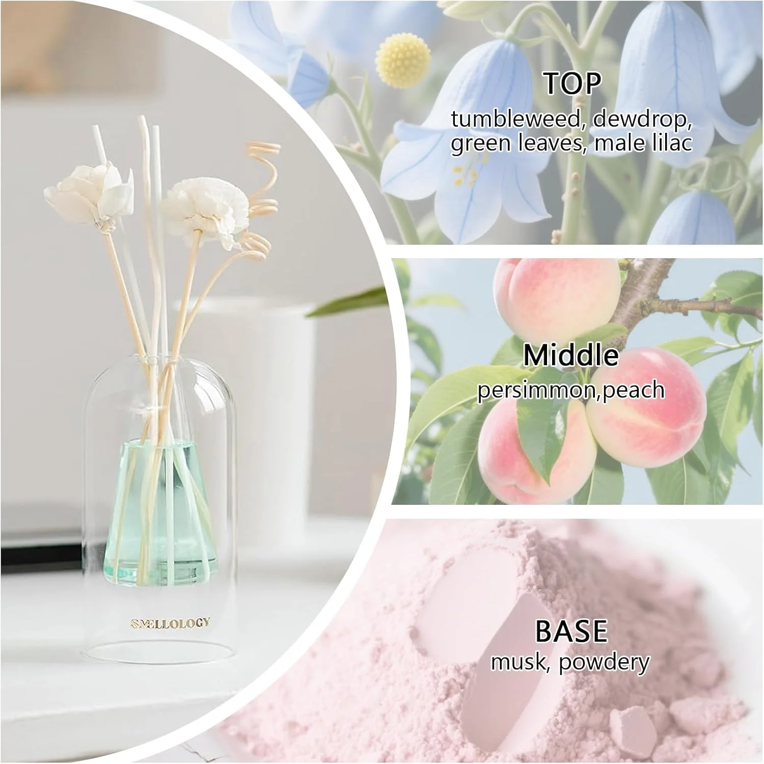 SMELLOLOGY Tranquil Flower Flowers Home Diffuser- Tea Escape 120ml - Image 4